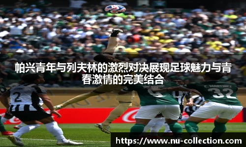 帕兴青年与列夫林的激烈对决展现足球魅力与青春激情的完美结合