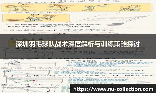 深圳羽毛球队战术深度解析与训练策略探讨