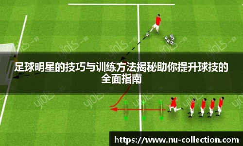 足球明星的技巧与训练方法揭秘助你提升球技的全面指南