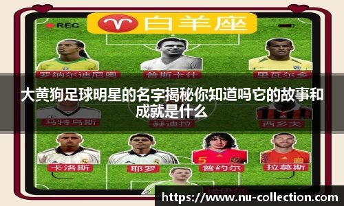 大黄狗足球明星的名字揭秘你知道吗它的故事和成就是什么